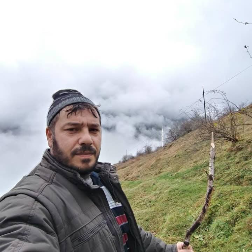 Bursa Demir Çatı